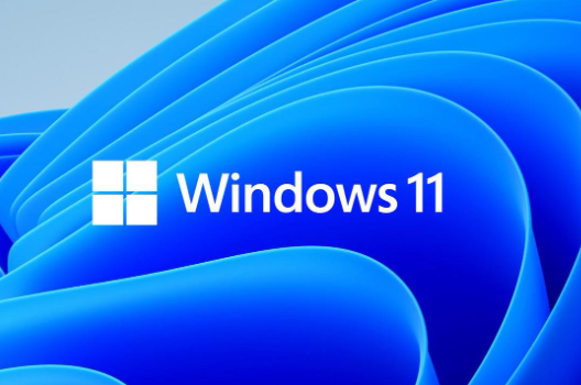 Windows 11操作系統.png